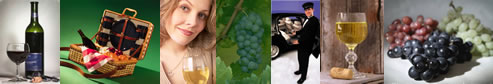 Long Island Winery Tours - NYS Wine Tours - specializing in limousine services for wine tasting in the Long Island, New York area.  Tours featuring professional chauffeurs, luxury sedans, stretch limousines, vans, more.